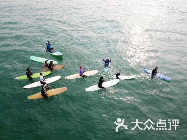 五彩鹦鹉救援