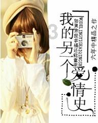 强大的狮子拼图