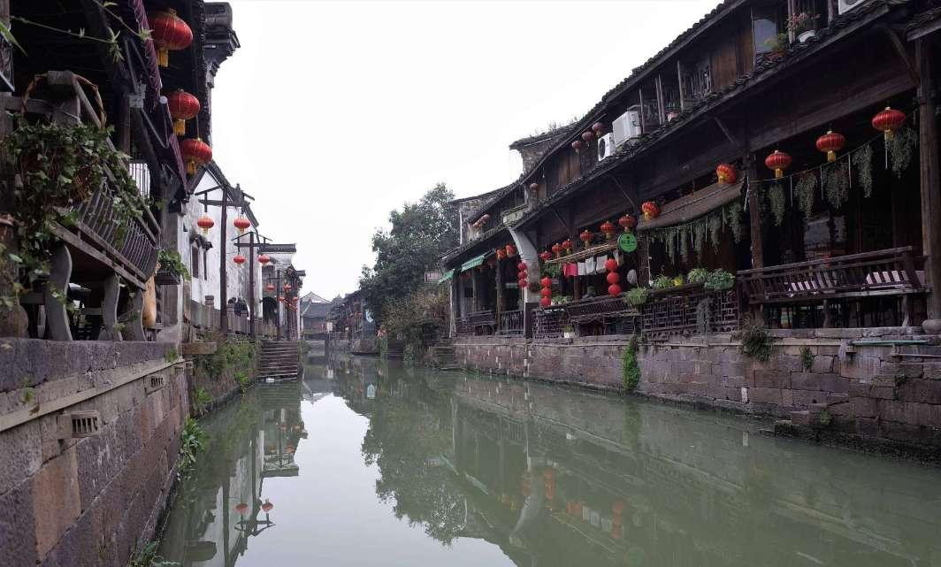 独步竹林